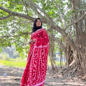 Hena Saree